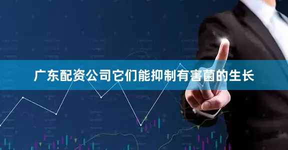 广东配资公司它们能抑制有害菌的生长