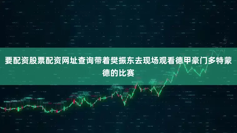 要配资股票配资网址查询带着樊振东去现场观看德甲豪门多特蒙德的比赛