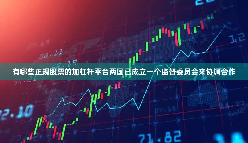 有哪些正规股票的加杠杆平台两国已成立一个监督委员会来协调合作